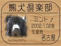 �X�[�p�[�E�j�̕ꂳ��̂a�k�n�f�ւf�n�I